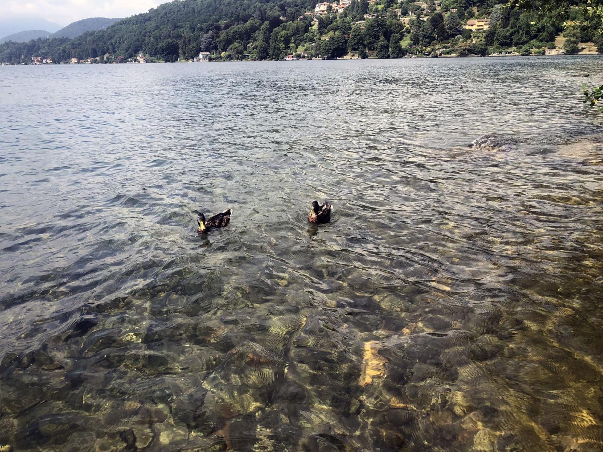 Appartamento Vacanze Al Lago Orta San Giulio Kültér fotó