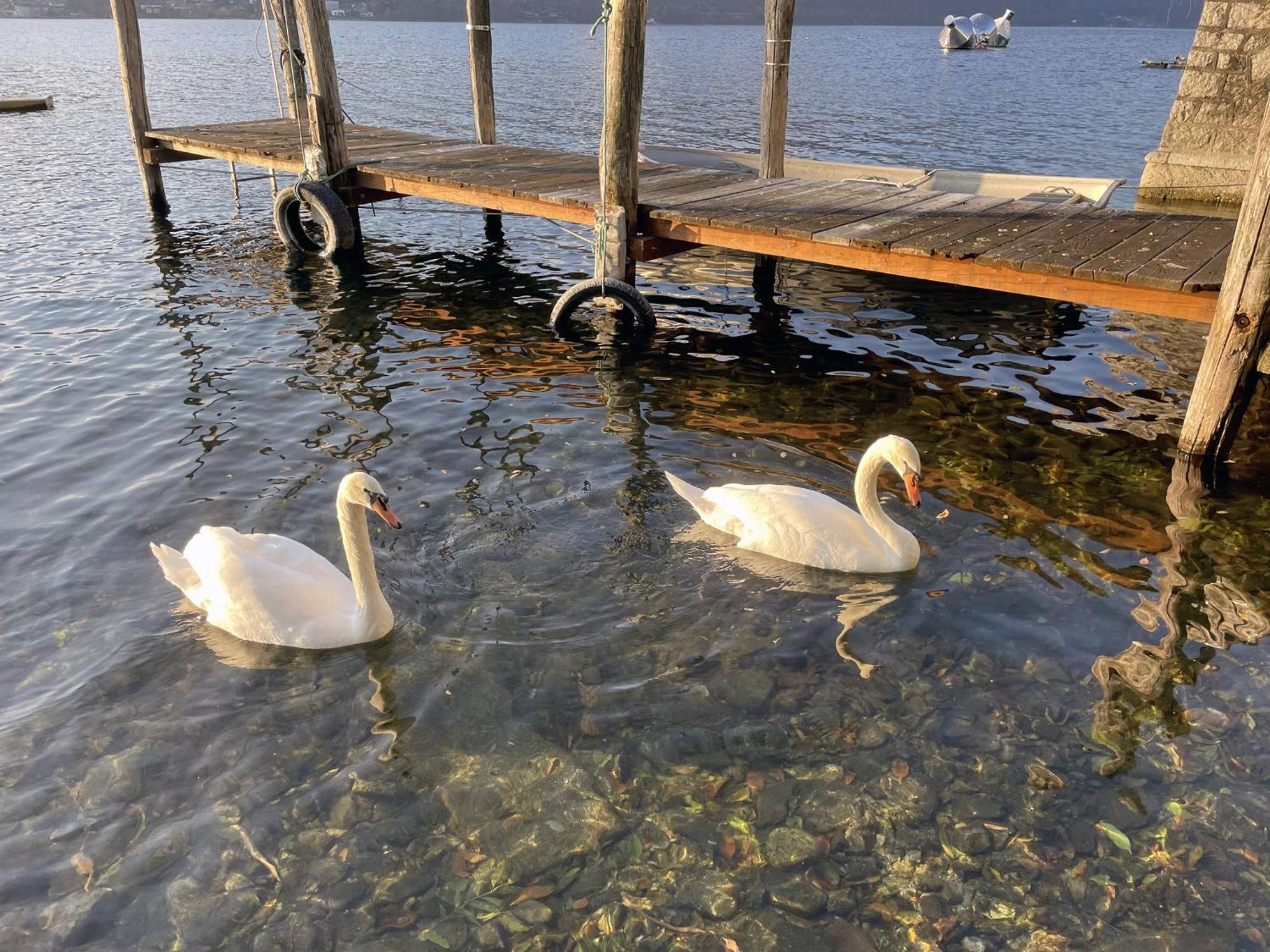 Appartamento Vacanze Al Lago Orta San Giulio Kültér fotó